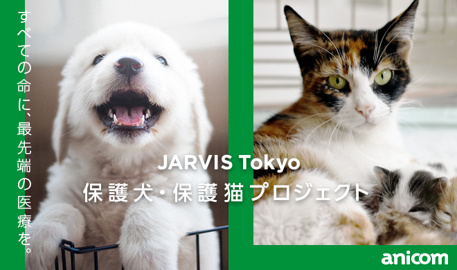 JARVIS Tokyo保護犬・保護猫プロジェクト』開始 | JARVISどうぶつ医療
