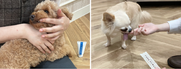 04:泊まって健康、オプションプラン